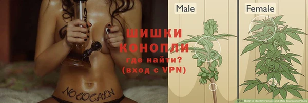 не бодяженный Аркадак