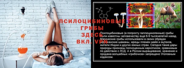 мескалин Арсеньев