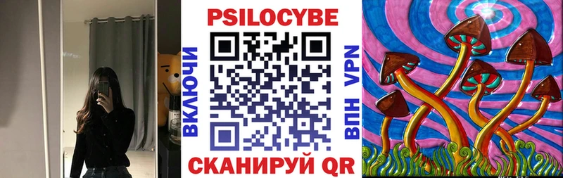 хочу наркоту  Тверь  OMG как войти  Псилоцибиновые грибы Psilocybe 