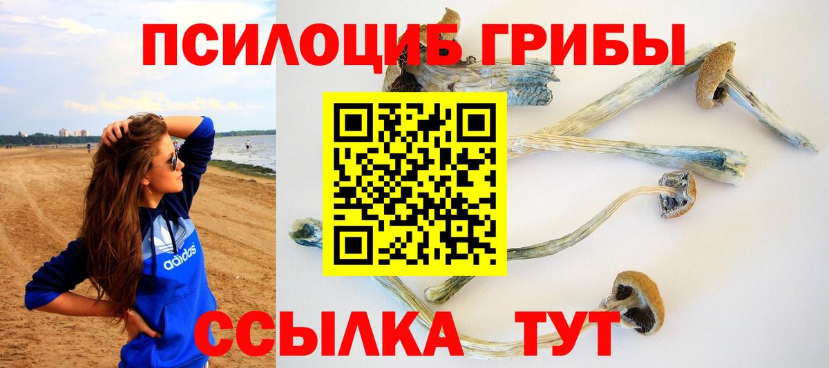 Тверь  Псилоцибиновые грибы мицелий  цена   Вход с VPN  Галлюциногенные грибы MAGIC MUSHROOMS 
